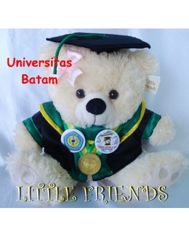 Boneka Wisuda Universitas Batam - Ekonomi (30 cm)